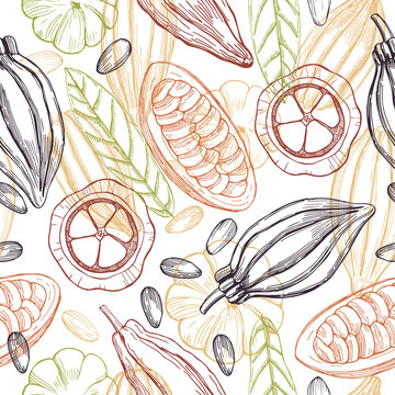 Hand drawn cocoa bean on white background. Vector seamless pattern