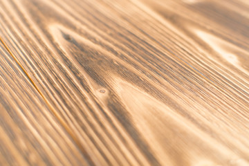 Burnt wood background