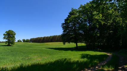Polish landscape