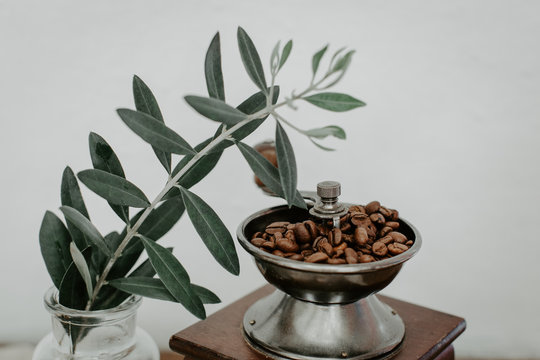 Coffee beens in old mill with olive branch