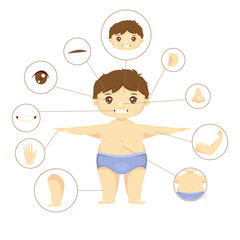 illustration of a boy, parts of the body for teaching.