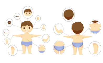 illustration of a boy, parts of the body for teaching.