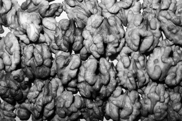 Fototapeta na wymiar Texture background black and white grain of the walnut.