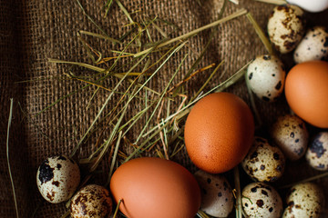 Obraz premium Fresh, raw eggs lie on the grass. Wood background. Texture of burlap. Organic background. Healthy eating. Easter composition