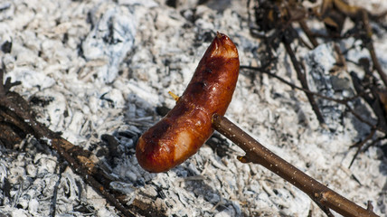 SONY DSC © Krzysztof