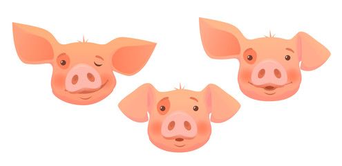 head of pink pig -set