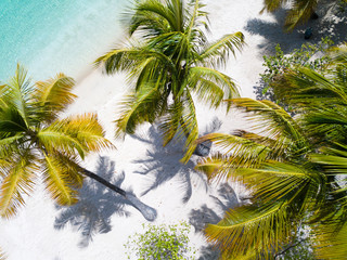 Fototapeta na wymiar Aerial view of palm trees on a caribbean island with a white sand beach and turquoise water- Sint-Vincent and the Grenadines