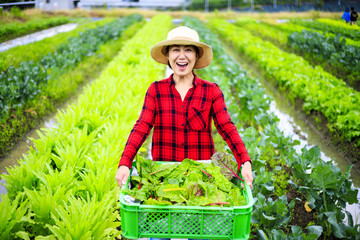 畑の作業をする女性