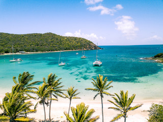 Aerial view of Mayreau beach in St-Vincent and the Grenadines - Tobago Cays. The paradise beach with palm trees and white sand beach - obrazy, fototapety, plakaty