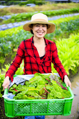 畑の作業をする女性
