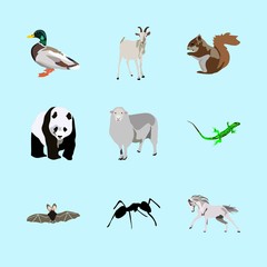 animals icons set