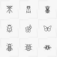 Insects line icon set with beetle, cockchafer and fly