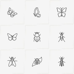 Insects line icon set with bug, flying ant and butterfly