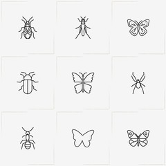Insects line icon set with butterfly, ant and mosquito
