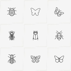 Insects line icon set with butterfly, bug and cockchafer