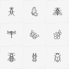 Insects line icon set with mosquito , fly and dragonfly