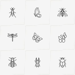 Fototapeta premium Insects line icon set with mosquito , fly and dragonfly
