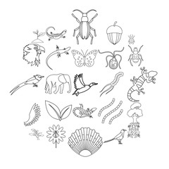 Avifauna icons set. Outline set of 25 avifauna vector icons for web isolated on white background