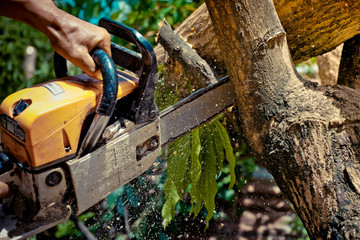 Chainsaw. Close-up of woodcutter sawing chain saw in motion, Concept is to bring down trees.