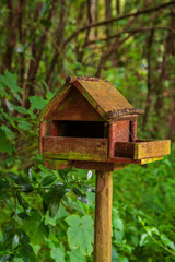 Wood bird house