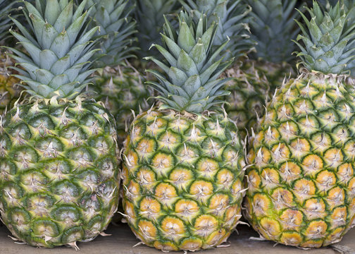 รูปภาพPinapples – เลือกดูภาพถ่ายสต็อก เวกเตอร์ และวิดีโอ114 | Adobe Stock