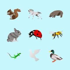 animals icons set