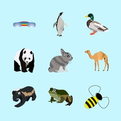 animals icons set