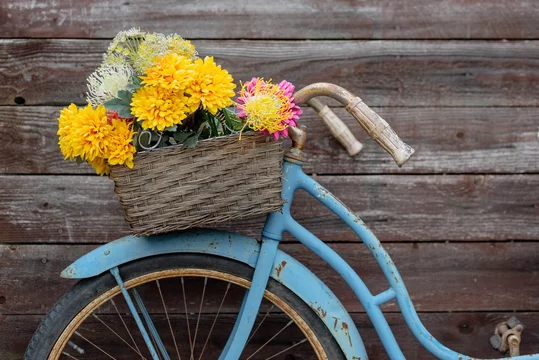 Blue vintage bike with deals basket