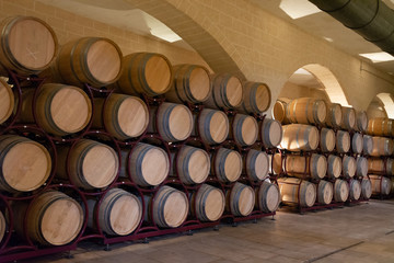 Modern bio wine production factory in Italy, caves with french of americal oak barrels used for aging of wine © barmalini