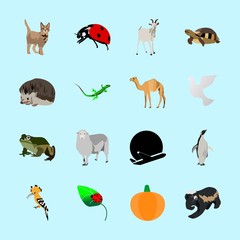 animals icons set