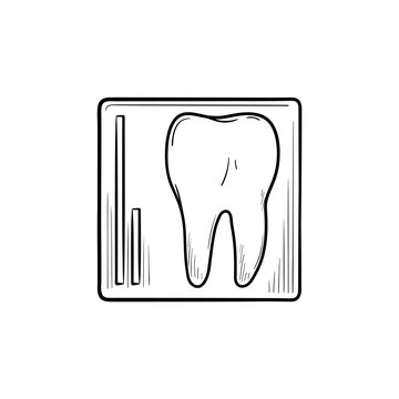 Tooth x-ray hand drawn outline doodle icon