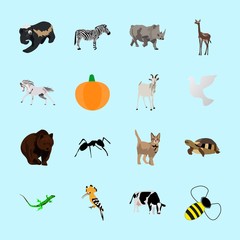 animals icons set