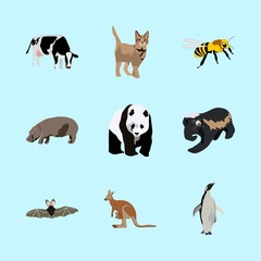 animals icons set