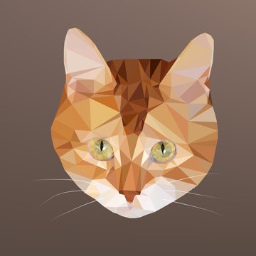 Vector illustration of low poly red-headed cat. Geometric polygonal red-headed cat portrait. Red-headed cat triangles low poly vector