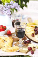 Summer picnic with cheese, flat bread, wine, fruits and bread. Picnic at the park.