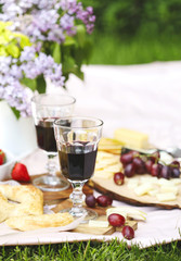 Summer picnic with cheese, flat bread, wine, fruits and bread. Picnic at the park.