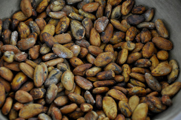 Semillas de Cacao tostadas