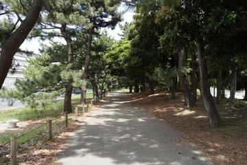 公園の道
