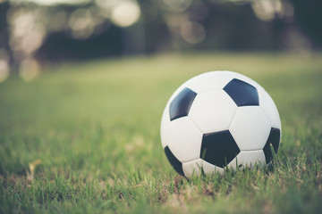 Soccer football on grass field