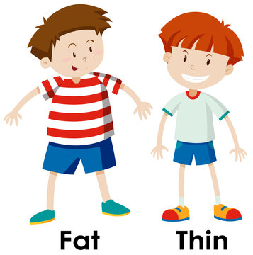 Differences between fat and thing