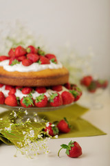 Homemade strawberry cake with cream on a glass stand.