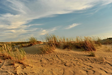 Lithuania. Sunset in the desert on the Curonian Spit