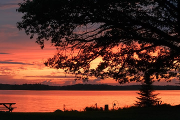 Colorful orange and yellow sunset sunrise reflected in calm water. Colourful sky seen through branches of a large oak tree. Concepts of tourism, vacation, peaceful, beauty
