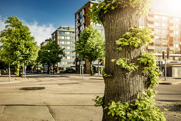 Green city Concept, Urban Life With Nature.