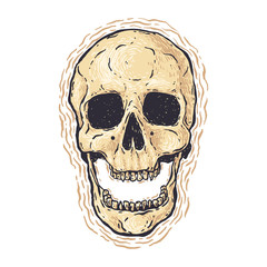 vector hand drawn illustration of the grunge skull