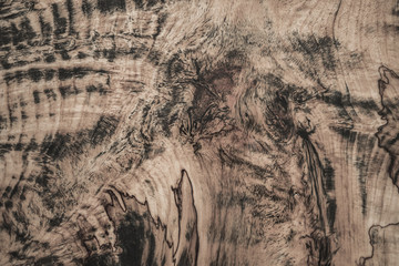 the texture of curly wood. brown background and black veins