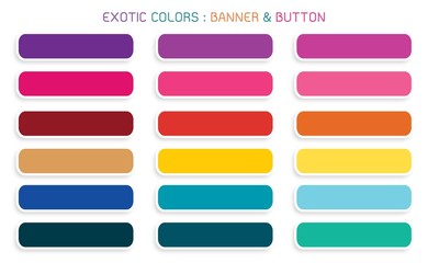Vector Set of Banner and Botton for Web Templates