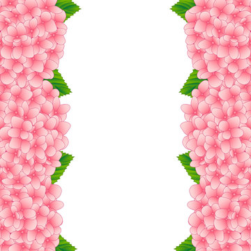 Pink Hydrangea Flower Border