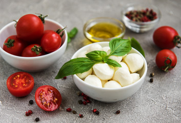 Italian food ingredients