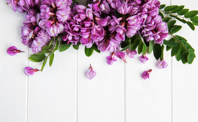 Spring acacia flowers
